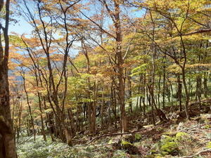 20251028_125501 20251028_125501