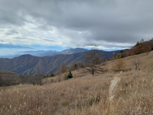 20251106_110408 20251106_110408