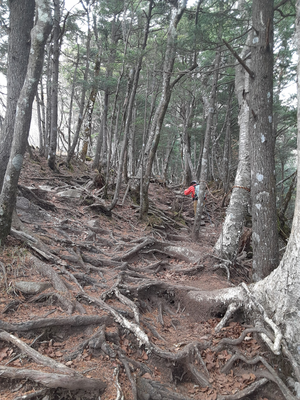 20251106_114610 20251106_114610