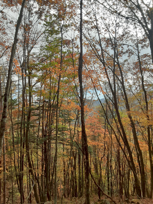 20251106_141849 20251106_141849