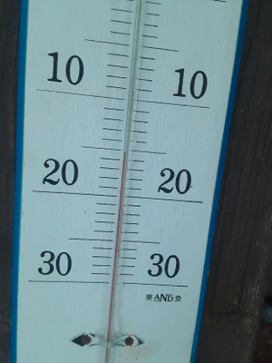 20260129_170649 20260129_170649