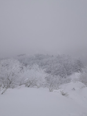 20260130_111140 20260130_111140