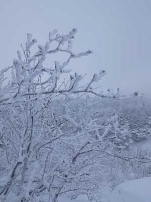 20260130_111325 20260130_111325