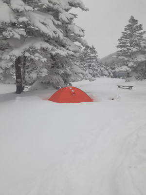 20260130_114117_2 20260130_114117_2